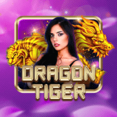 Dragon Tiger ColourGame live casino