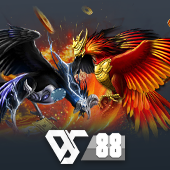 Sabong live ColourGame game