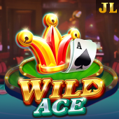 Wild Ace ColourGame slot